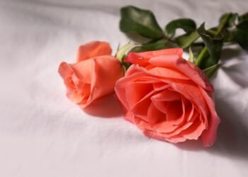 Feel free to mix and match ideas or adapt them to better fit your audience!