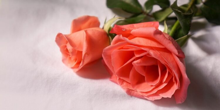 Feel free to mix and match ideas or adapt them to better fit your audience!