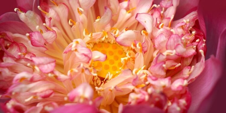 Feel free to mix and match or modify them to fit your vision!