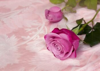 Feel free to mix and match or modify them to suit your style!