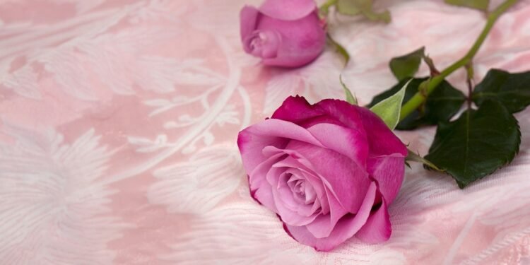 Feel free to mix and match or modify them to suit your style!