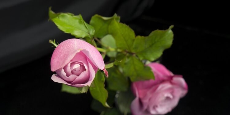 Feel Full, Not Fattened: Satisfying Low-Calorie Meal Ideas