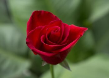 Feel free to mix and match or adjust them to suit your style!