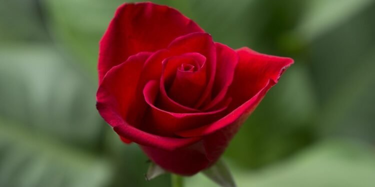 Feel free to mix and match or adjust them to suit your style!