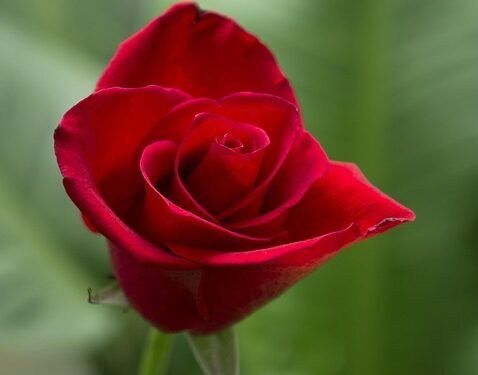 Feel free to adjust them as needed!