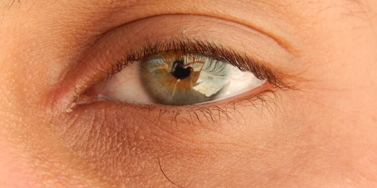 Tantalizing Tarts: 10 Recipes to Satisfy Your Sweet Tooth