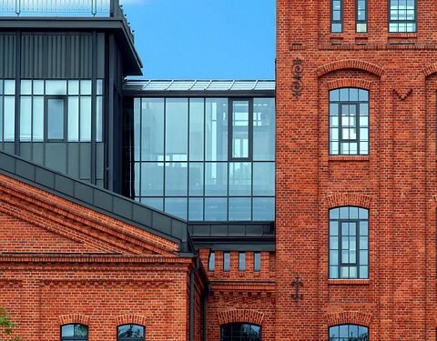 Revitalize Your Routine: Quick and Easy Fruit Smoothie Recipes