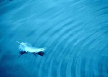 Pie-Baking Made Easy: Step-by-Step Recipes for Beginners