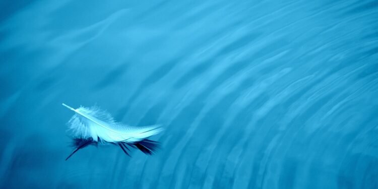 Pie-Baking Made Easy: Step-by-Step Recipes for Beginners