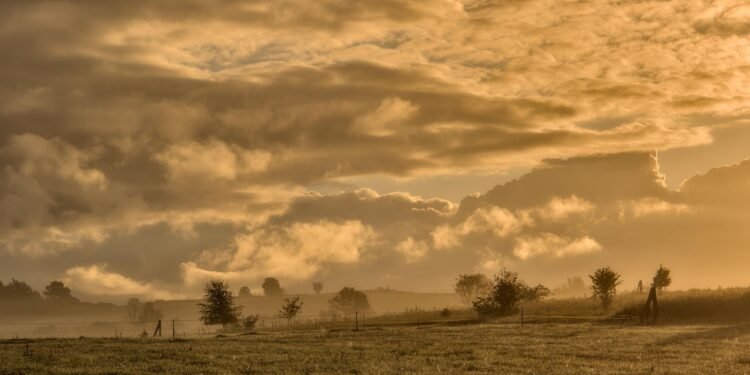 Morning Magic: Quick Breakfast Recipes for the Time-Starved!