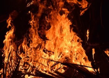 Fuel Your Fitness: Post-Workout Smoothies That Pack a Punch!