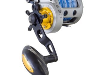 Reel in the Flavor: Top Air Fryer Fish Recipes for Seafood Lovers