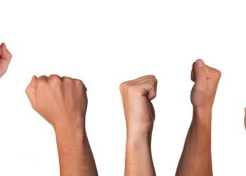 No Fuss, Just Flavor: Quick Recipes for Every Home Chef