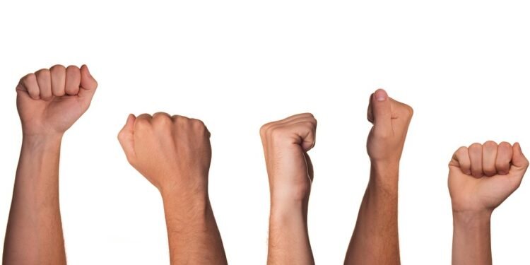 No Fuss, Just Flavor: Quick Recipes for Every Home Chef