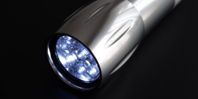 Lighten Up: Satisfying Low-Fat Dishes for Your Air Fryer