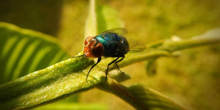 Quick Fixes: Simple Snack Ideas for On-the-Go Lifestyles