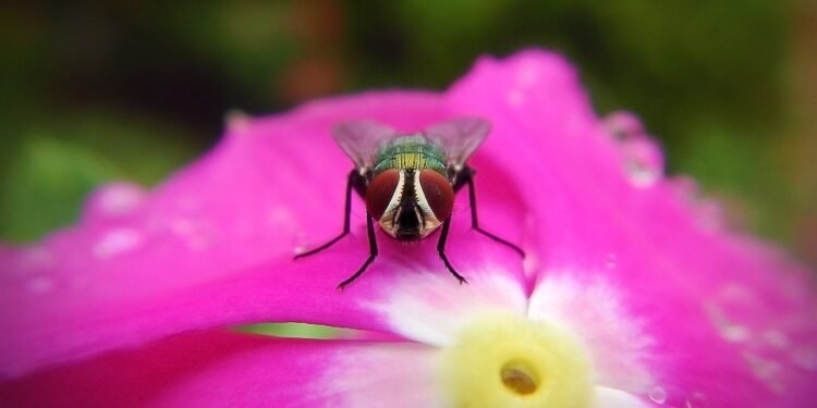 Quick & Tasty Gluten-Free Air Fryer Recipes for Busy Families