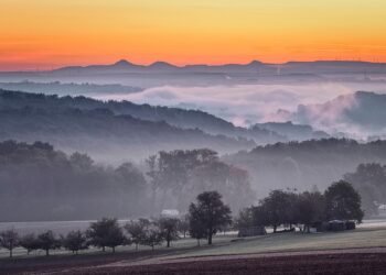 Cool Down with These 10 Must-Try Summer Beverages