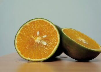 Feel free to adjust any of these to better fit your article's tone and audience!