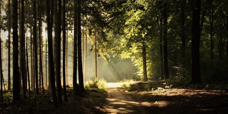 Mindful Drinking: How Healthy Drinks Can Enhance Your Mood