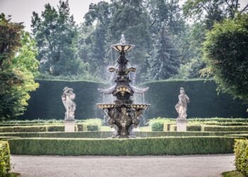 From Fridge to Feast: Effortless Lunch Ideas for Busy Days!