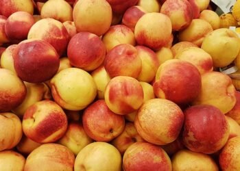 Sweet Satisfaction: How to Master Perfect Cookies Every Time