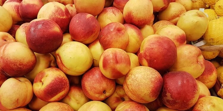 Sweet Satisfaction: How to Master Perfect Cookies Every Time