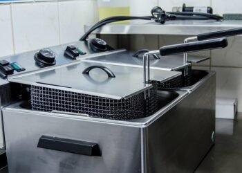 From Fryer to Table: 10 Delicious Air Fryer Fish Recipes to Try