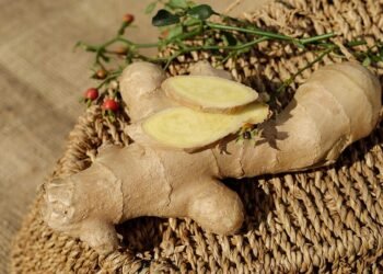 Healthy and Quick: Nutritious Lunch Recipes You Can Prep in Minutes