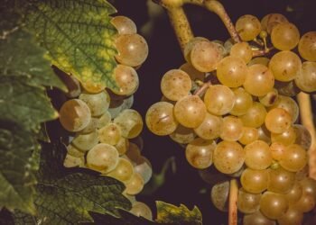 “Healthy and Hearty: Air Fryer Meal Prep Ideas for Clean Eating”