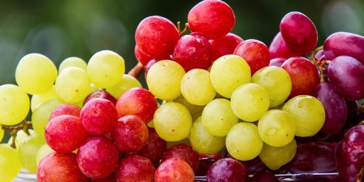 Fresh, Fruity, and Fabulous: The Best Ingredients for Detox Smoothies