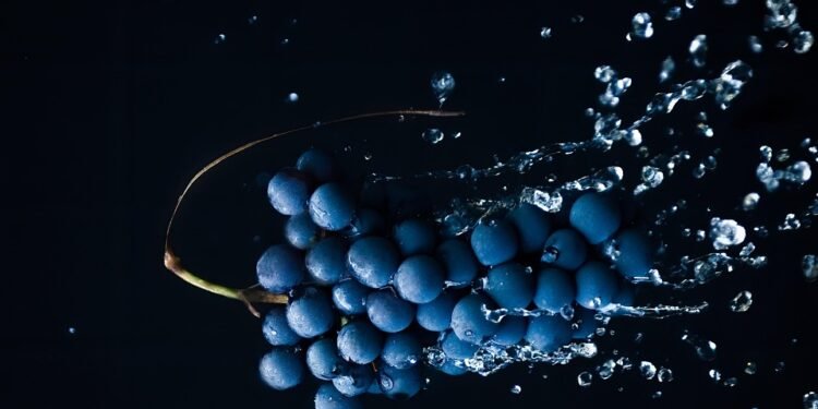 Sweet & Nutritious: Delicious Desserts You Can Feel Good About