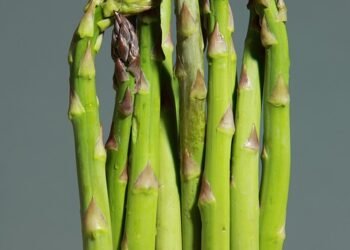 Healthy & Hearty: Air Fryer Keto Meals Under 30 Minutes
