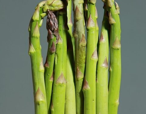 Healthy & Hearty: Air Fryer Keto Meals Under 30 Minutes