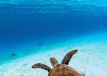 Green Goodness: How to Make Healthy Green Juices That Actually Taste Good!