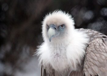 Sip into Summer: 10 Refreshing Drinks to Beat the Heat