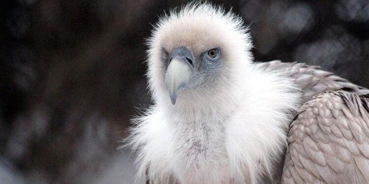 Sip into Summer: 10 Refreshing Drinks to Beat the Heat