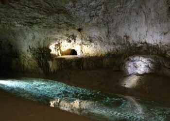 One-Pan Wonders: Easy Meals with Minimal Cleanup