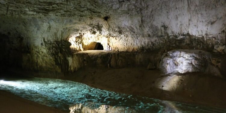 One-Pan Wonders: Easy Meals with Minimal Cleanup