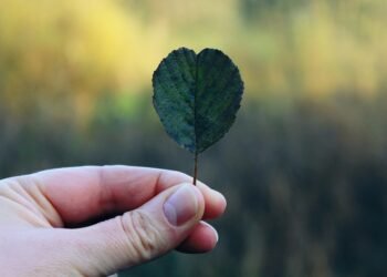 Feel free to mix and match elements from these suggestions!