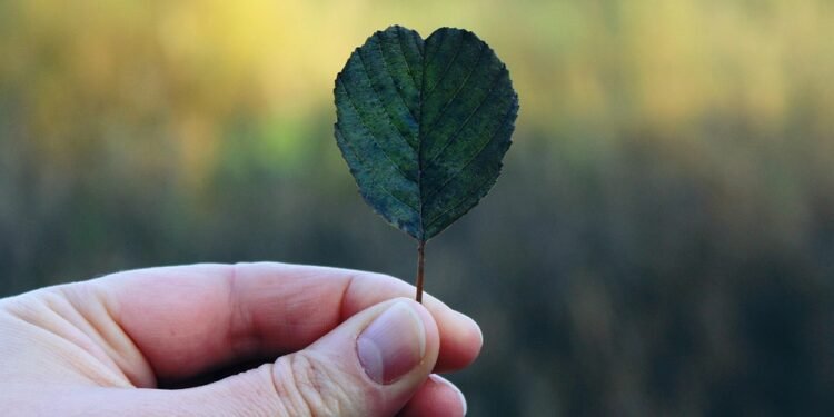 Feel free to mix and match elements from these suggestions!