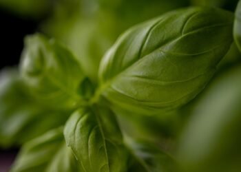 “Flavorful and Fun: Creative Air Fryer Meal Prep Recipes to Try”