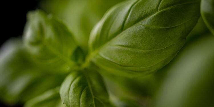 “Flavorful and Fun: Creative Air Fryer Meal Prep Recipes to Try”