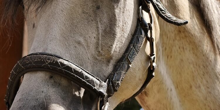 Satisfy Your Cravings: Delicious Meal Prep Recipes for Every Taste