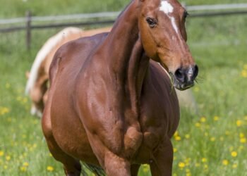 Feel free to use or adapt any of these!