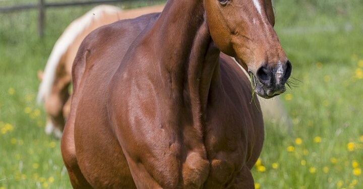 Feel free to use or adapt any of these!