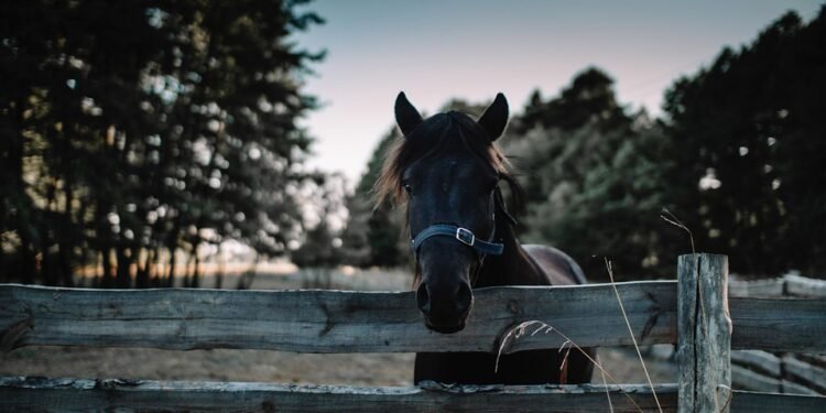 From Farm to Table: Fresh and Healthy Dinner Ideas to Nourish Your Family