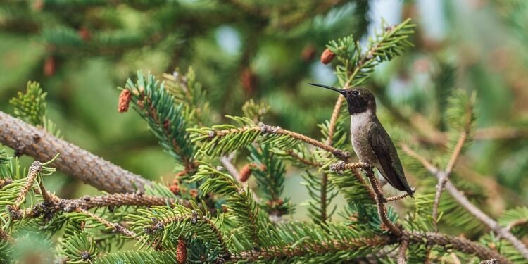 Blend It Up: 10 Delicious Protein Smoothie Recipes to Fuel Your Day