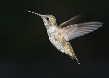 Fast & Flavorful: Dinner Recipes That Will Save You Time and Stress