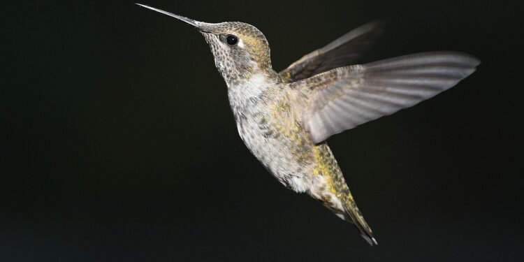 Fast & Flavorful: Dinner Recipes That Will Save You Time and Stress